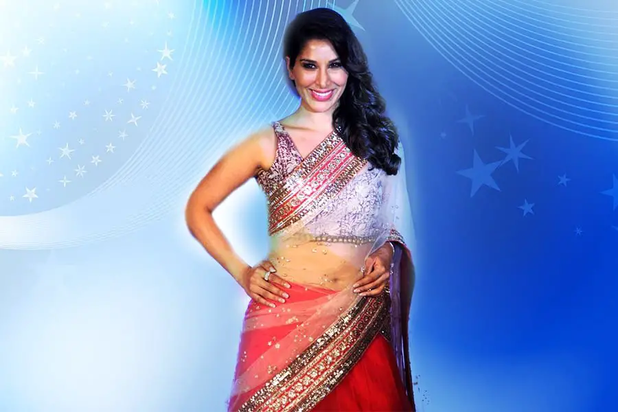 Net Half Saree